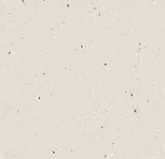 Линолеум Forbo Sphera Evolution 50401 silver white pearl фото 1 | FLOORDEALER